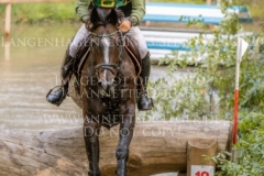 Newtownbarry Willow Stephan DUBSKY