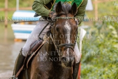 Newtownbarry Willow Stephan DUBSKY