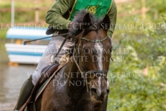 Newtownbarry Willow Stephan DUBSKY