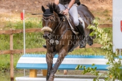 Granulin 2 Jan MATTHIAS