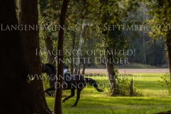 Hamilton 24 Josefa SOMMER