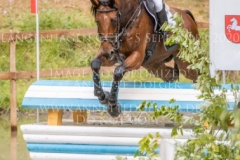 Brennus Alina DIBOWSKI