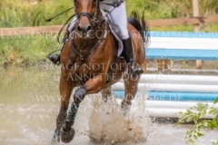 Brennus Alina DIBOWSKI