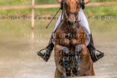 Brennus Alina DIBOWSKI