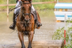 Brennus Alina DIBOWSKI