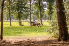 Eislicht 2 Lynn SANDER