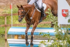 Eislicht 2 Lynn SANDER