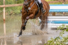 Eislicht 2 Lynn SANDER