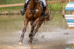 Eislicht 2 Lynn SANDER