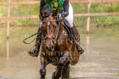 Dorotheental's Canela Sonja BUCK