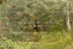 Sir Schelly Sabrina LABES