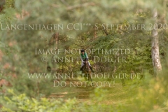 Sir Schelly Sabrina LABES