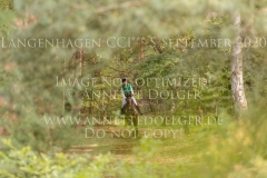 Sir Schelly Sabrina LABES