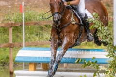 Sibo de Quiesce Tom GOEMAN