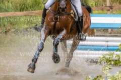 Sibo de Quiesce Tom GOEMAN