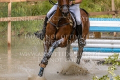 Sibo de Quiesce Tom GOEMAN