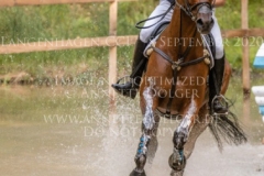 Sibo de Quiesce Tom GOEMAN