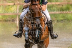 Sibo de Quiesce Tom GOEMAN