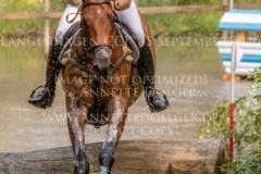 Sibo de Quiesce Tom GOEMAN