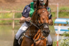 Sibo de Quiesce Tom GOEMAN