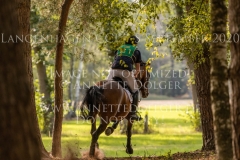 Sibo de Quiesce Tom GOEMAN