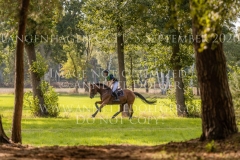 Back In Time 2 Niklas BSCHORER