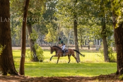 Back In Time 2 Niklas BSCHORER