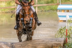 Back In Time 2 Niklas BSCHORER