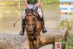 Back In Time 2 Niklas BSCHORER