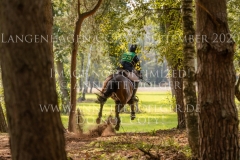 Lohengrin 90 Johannes HAYESSEN