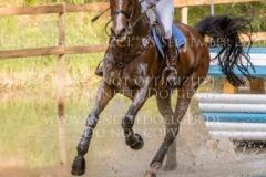 Better Luck Martina REEMTSMA