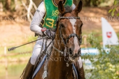 Better Luck Martina REEMTSMA