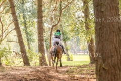 Better Luck Martina REEMTSMA