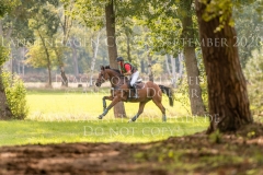 Lege Artis 2 Dr. Marc DAHLKAMP