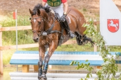 Lege Artis 2 Dr. Marc DAHLKAMP