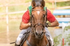 Lege Artis 2 Dr. Marc DAHLKAMP