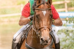 Lege Artis 2 Dr. Marc DAHLKAMP