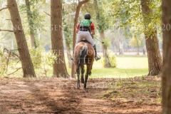 Lege Artis 2 Dr. Marc DAHLKAMP