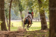 Lege Artis 2 Dr. Marc DAHLKAMP