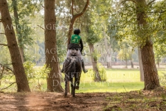 The Black Lady xx Johanna VOELKEL