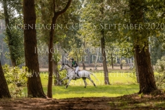 Timmo Nicolai ALDINGER