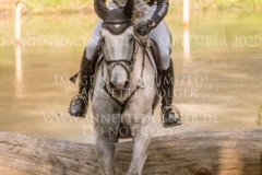 Timmo Nicolai ALDINGER