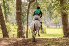 Timmo Nicolai ALDINGER