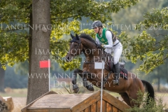 Foo Fighter 3 Beeke JANKOWSKI