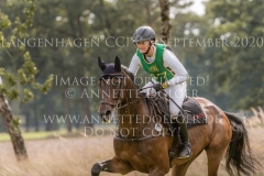 Foo Fighter 3 Beeke JANKOWSKI