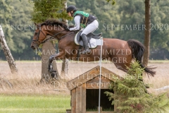 Schoensgreen Antares Antje SCHOENIGER