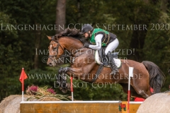 Schoensgreen Antares Antje SCHOENIGER