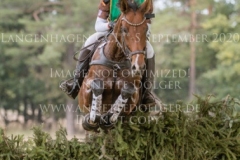 Borky du Ruisseau Sina SIEGLE