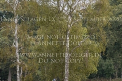 Checkevina Friederike PARADIES