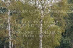 Checkevina Friederike PARADIES